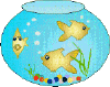 fish in the sea