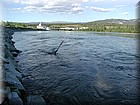 P1010018.JPG
