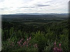 P1010024.JPG